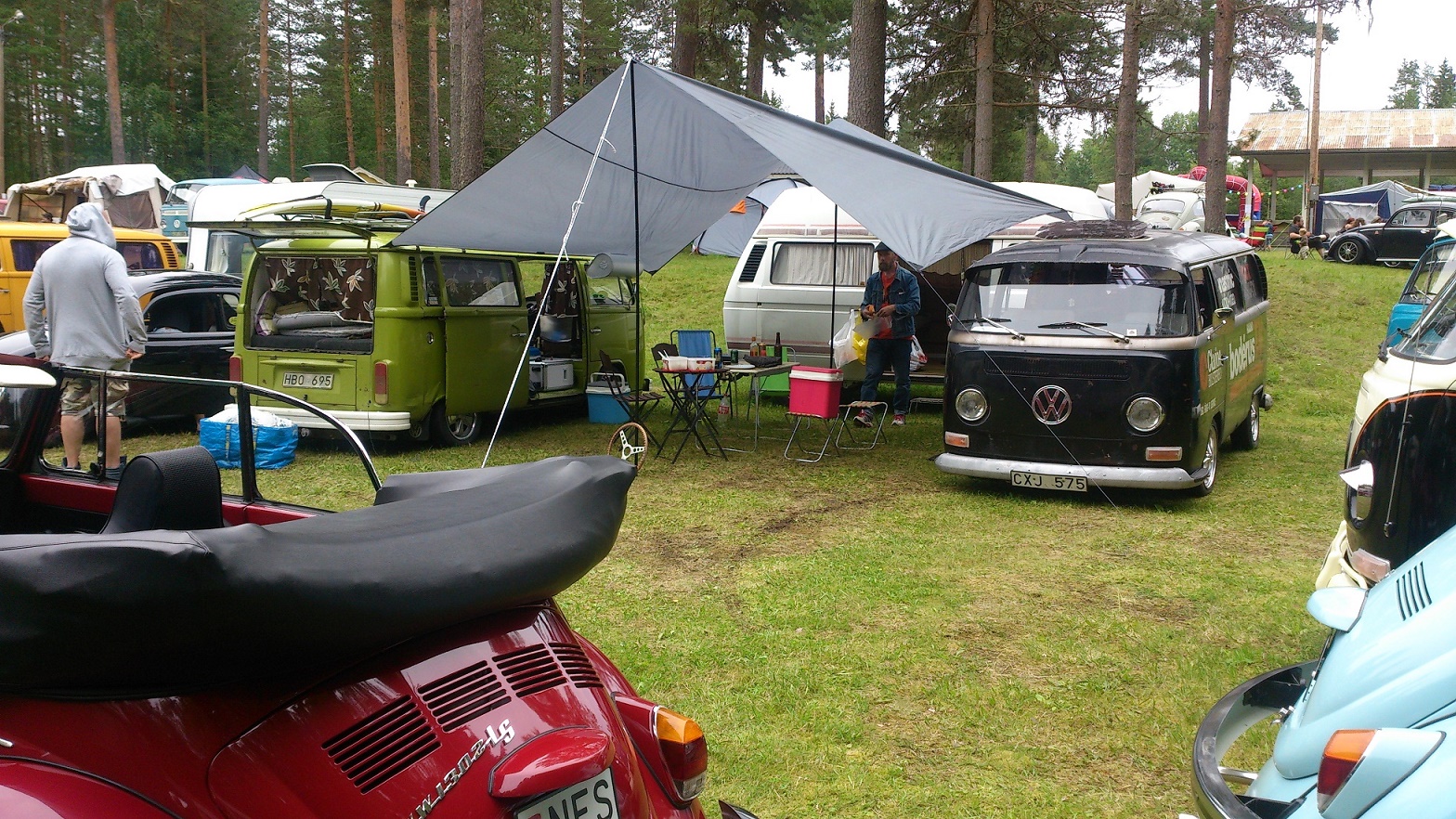 DSC_0978 (1).jpg, 776.76 kb, 1568 x 882