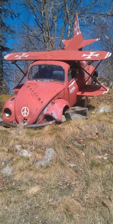 tumblr_no9xx9W8nY1ttxfeno1_500.jpg, 71.72 kb, 366 x 720