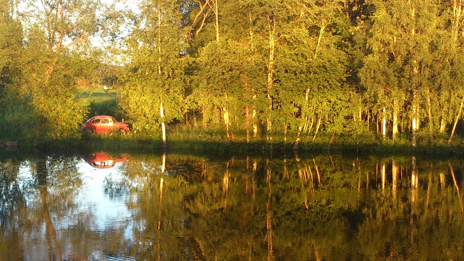 DSC_1077.jpg, 833.48 kb, 1568 x 882