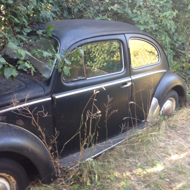 IMG_1717.jpg, 205.74 kb, 640 x 640