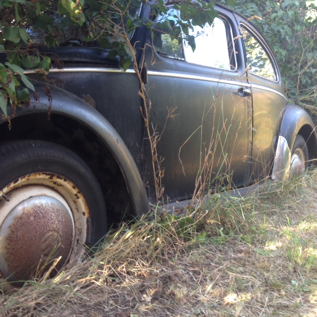 IMG_1724.jpg, 209.52 kb, 640 x 640