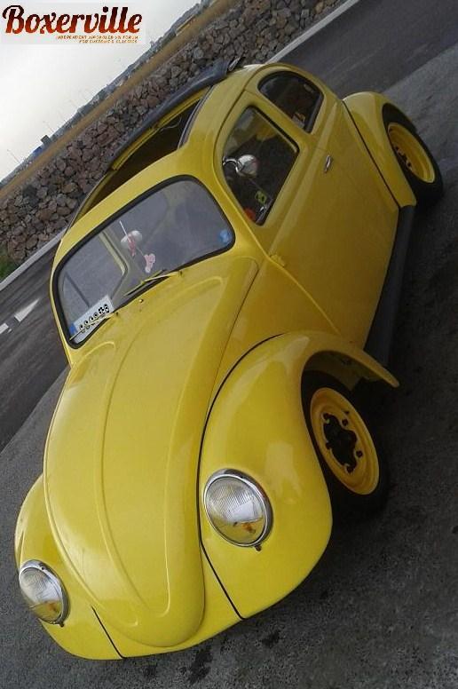 speedwaggen (113).jpg, 68.42 kb, 516 x 776