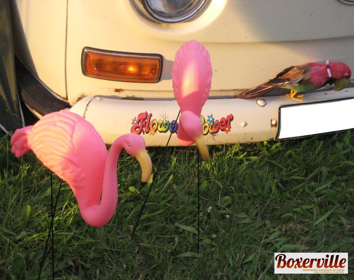 WCBM (3).JPG, 175.59 kb, 1165 x 922