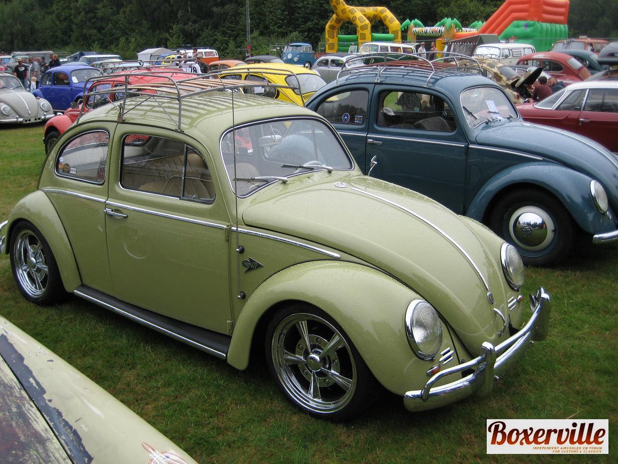 Boxerville (7).JPG, 216.23 kb, 1229 x 922