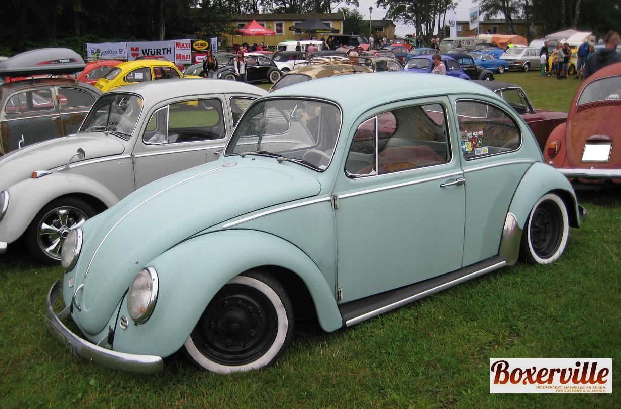 Boxerville (9).JPG, 189.66 kb, 1229 x 809