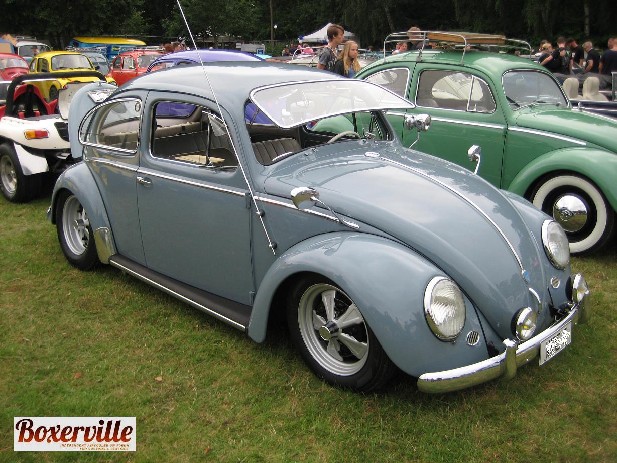 Boxerville (13).JPG, 209.12 kb, 1229 x 922