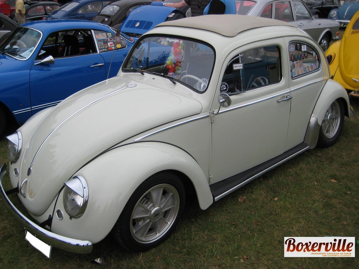 Boxerville (14).JPG, 165.37 kb, 1229 x 922