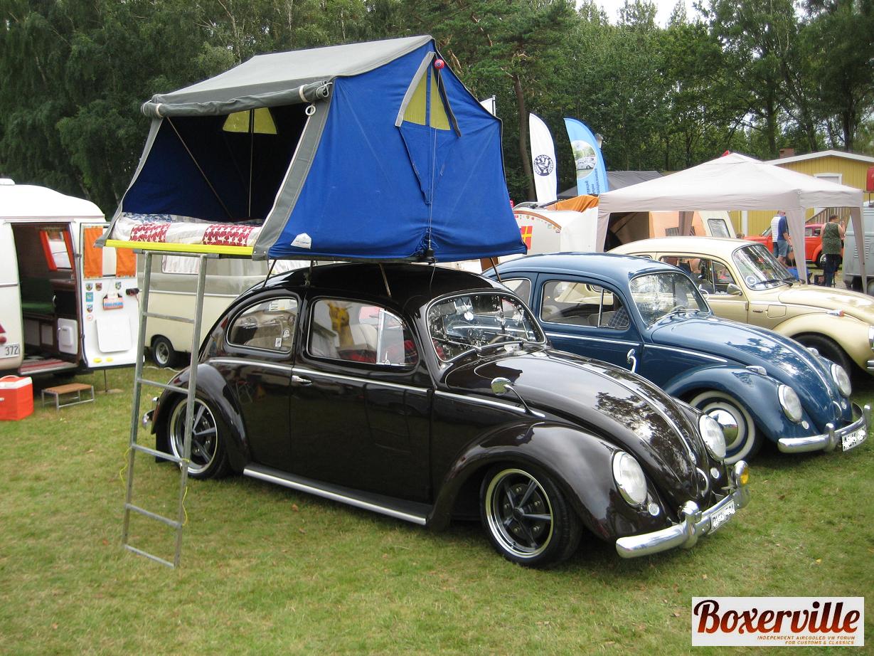 Boxerville (20).JPG, 235.11 kb, 1229 x 922