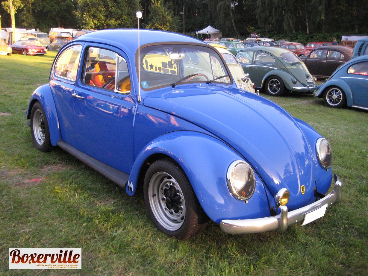 Boxerville (28).JPG, 223.68 kb, 1229 x 922