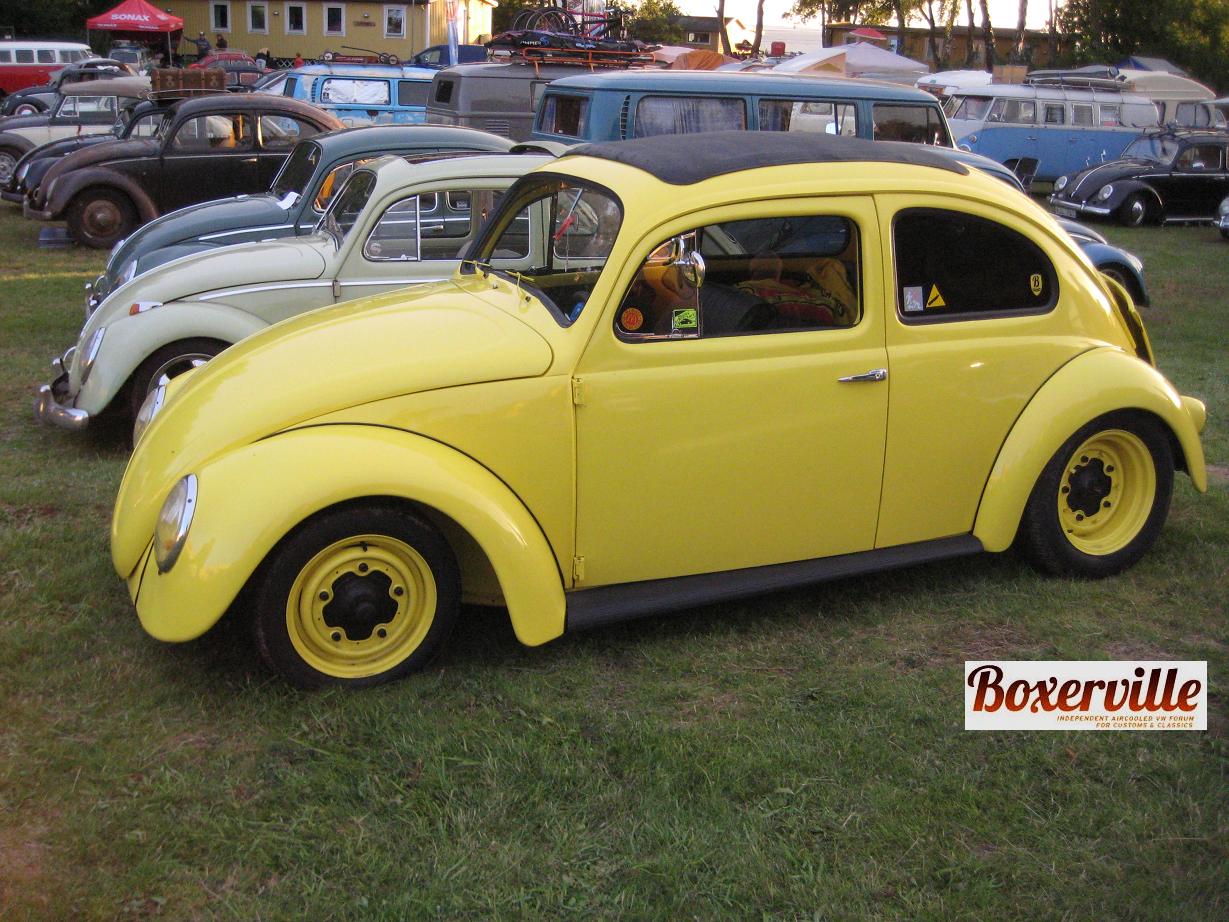 Boxerville (29).JPG, 206.23 kb, 1229 x 922