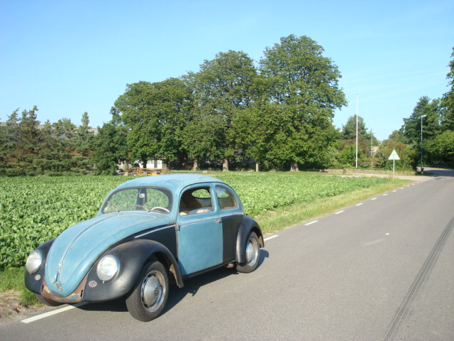 DSC05873.JPG, 100.26 kb, 640 x 480