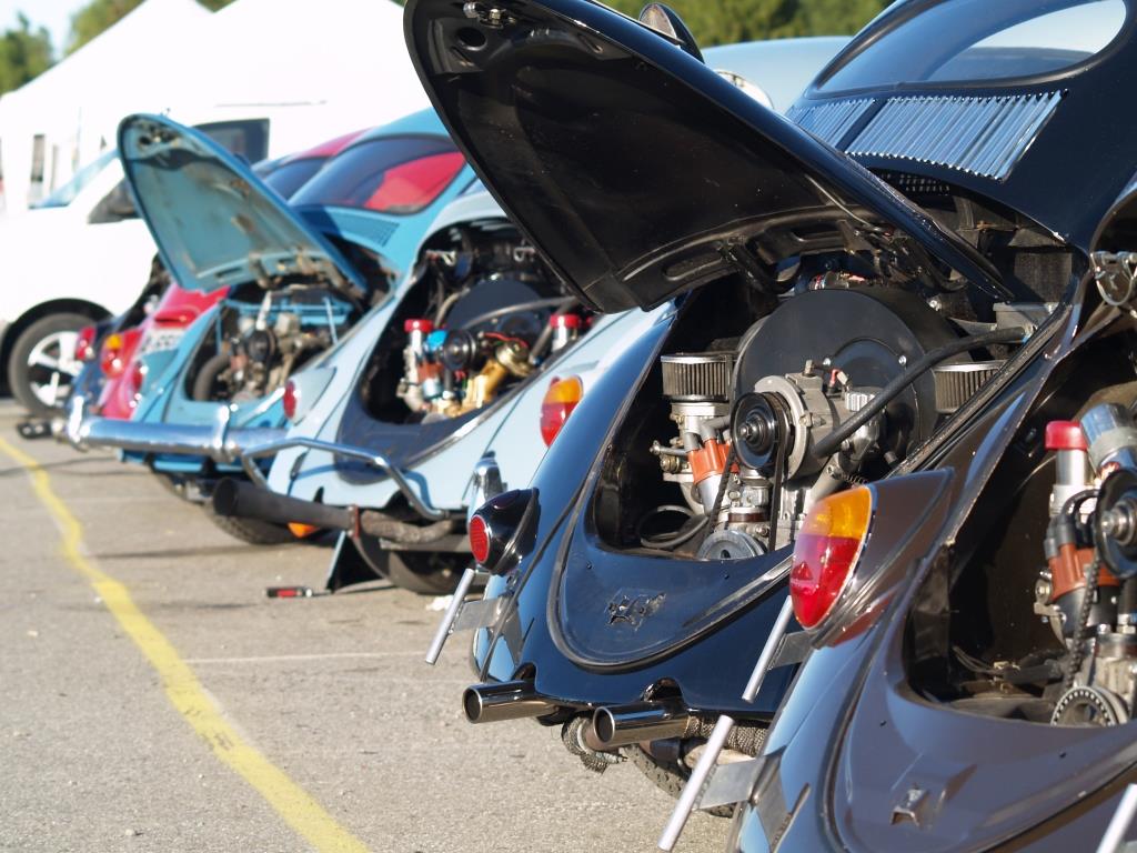 P8152975_09.jpg, 130.06 kb, 1024 x 768