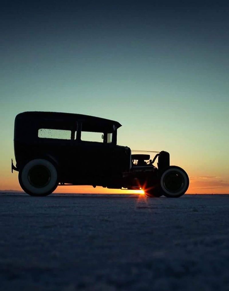 11709619_10204934612107599_3239490607343521832_n.jpg, 160.95 kb, 800 x 1018