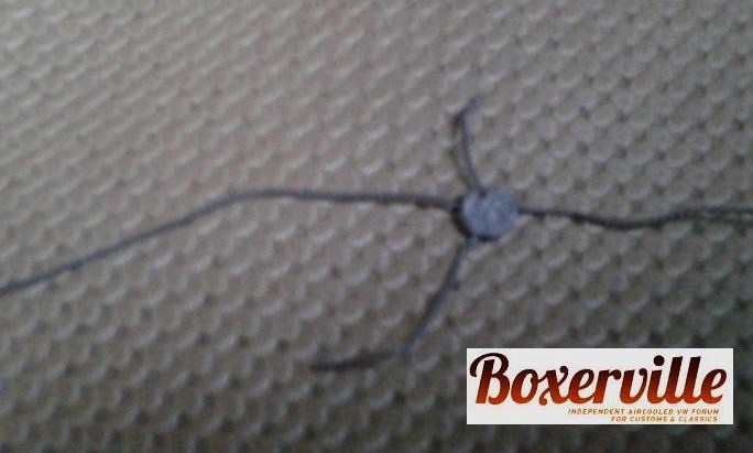 Bay 15.jpg, 61.84 kb, 684 x 411