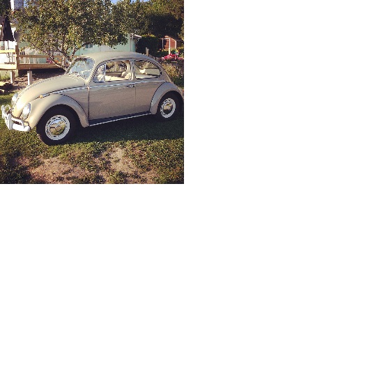 IMG_2352.JPG, 57.62 kb, 528 x 528