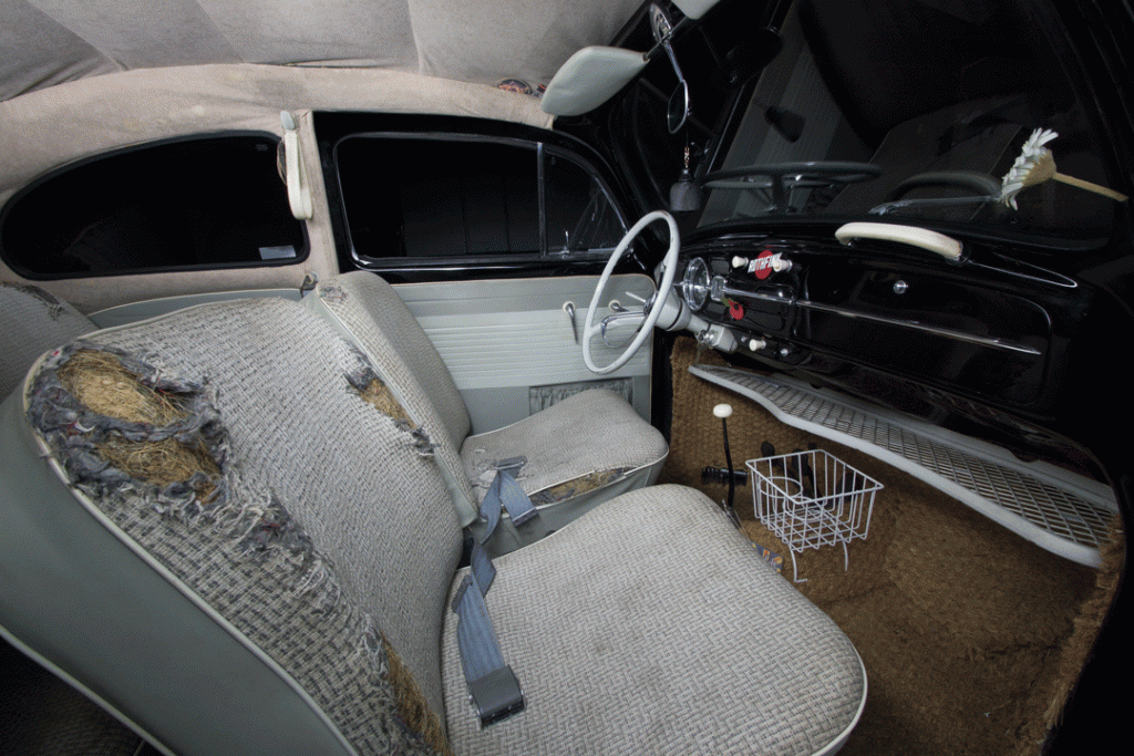 interior-1024x683.gif, 397.46 kb, 1024 x 683