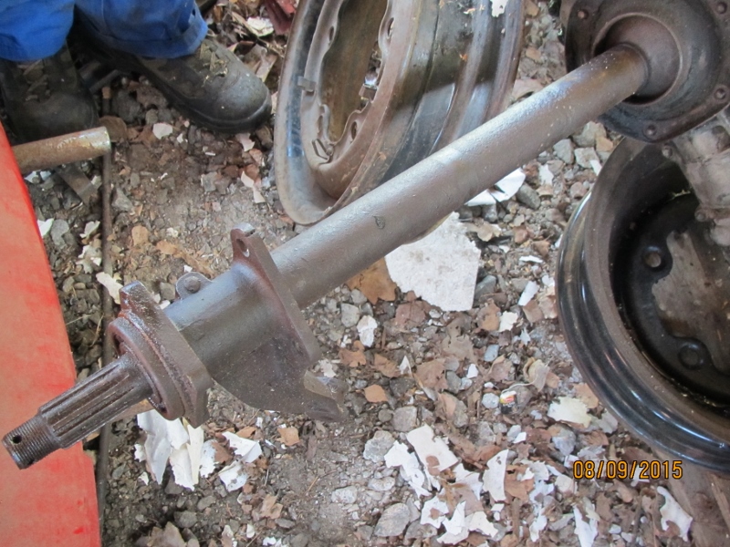 IMG_4890 (800x600).jpg, 322.91 kb, 800 x 600