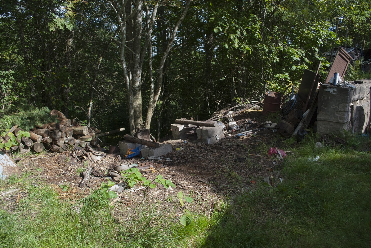 52.jpg, 596.81 kb, 1196 x 801