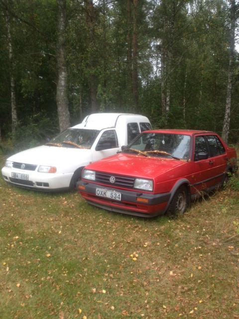 image(2).jpeg, 167.9 kb, 480 x 640