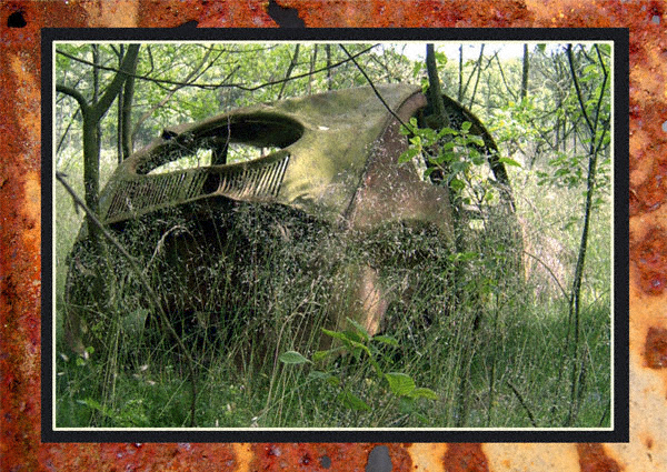 12juneB.jpg, 382.7 kb, 600 x 425