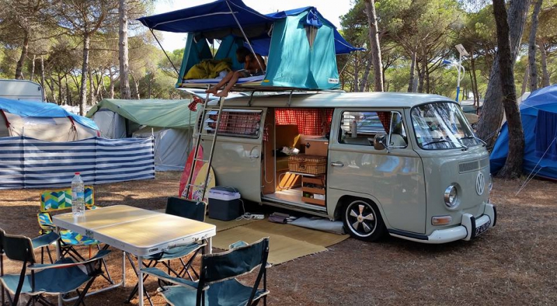 4208923752.jpg, 340.77 kb, 800 x 440