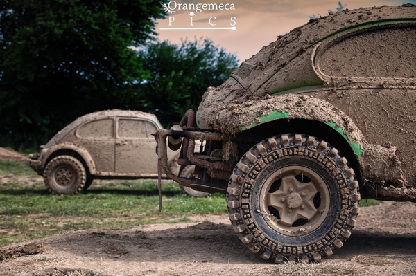 tdanorangemecapics1585.jpg, 239.64 kb, 600 x 399