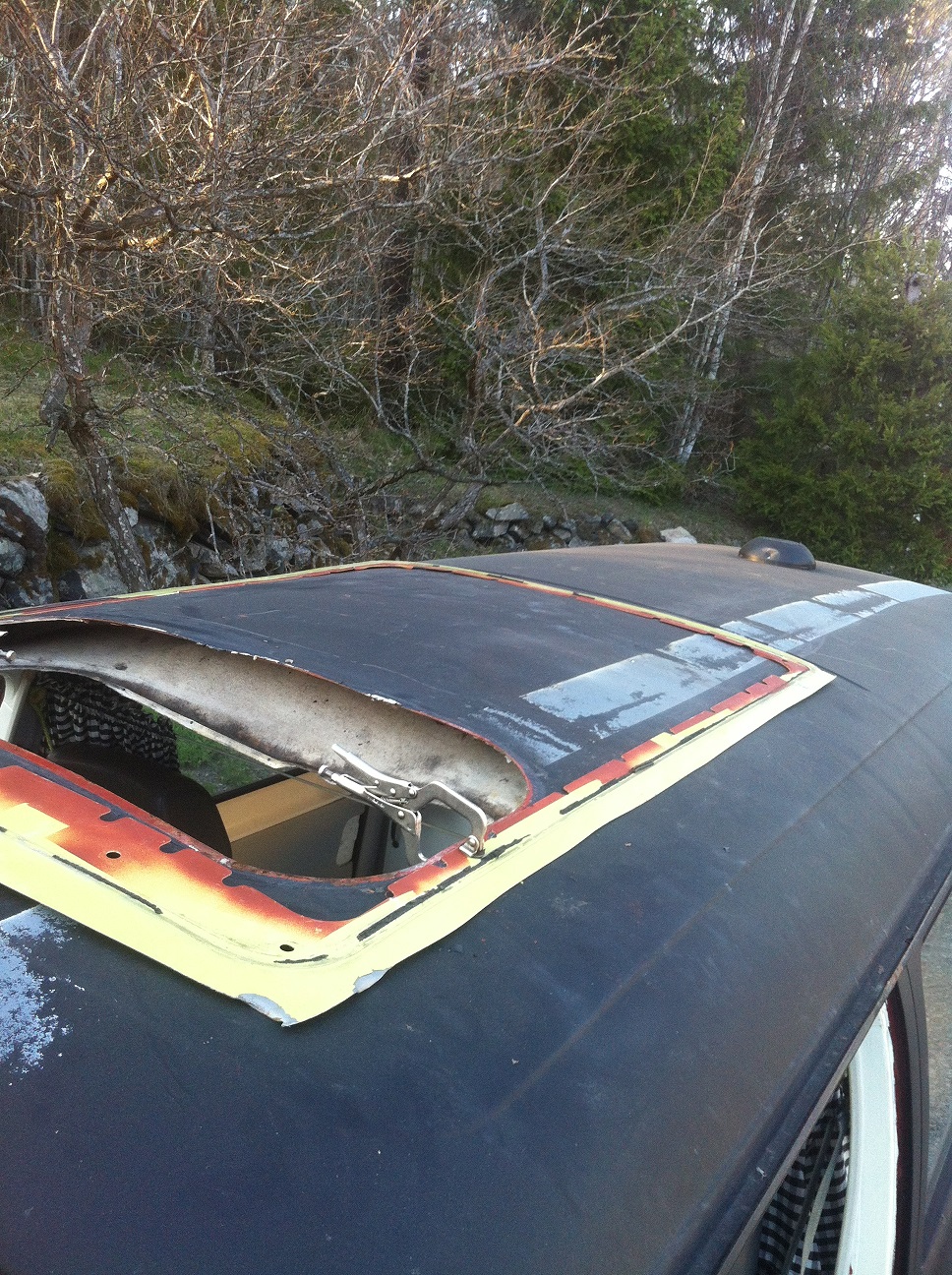 IMG_7128.JPG, 678.94 kb, 968 x 1296