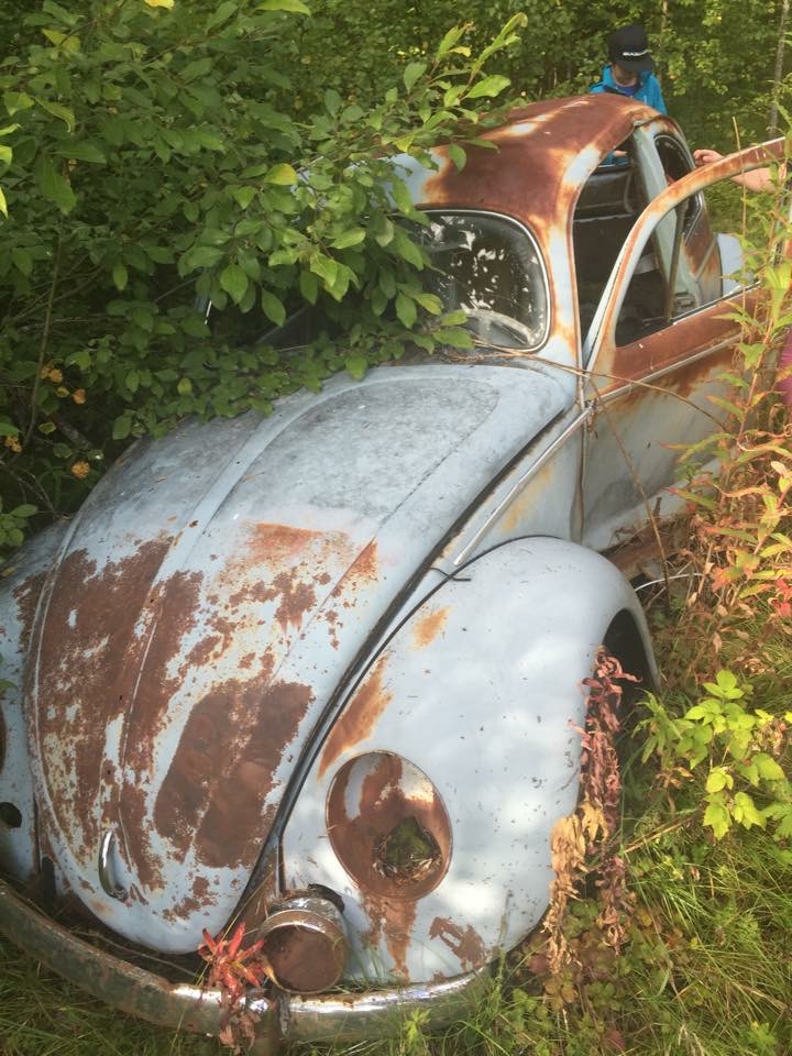 image.jpeg, 218.6 kb, 720 x 960