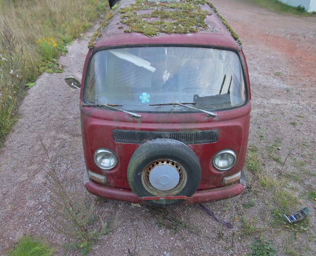 IMG_1717 (640x518).jpg, 377.39 kb, 640 x 518