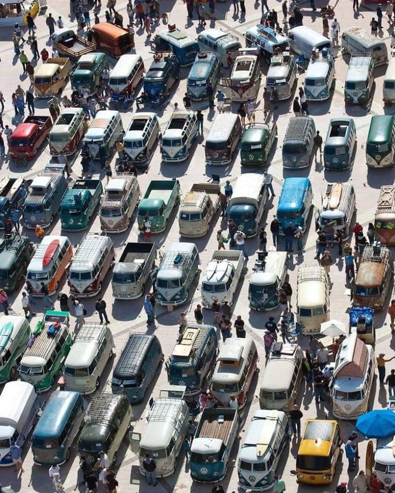 12009668_10205312085064187_1902728668009293367_n.jpg, 540.5 kb, 800 x 997