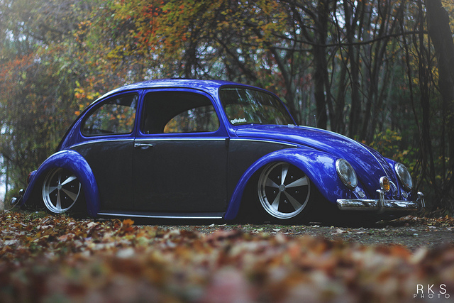 12898641765_439b78d61a_z.jpg, 198.8 kb, 640 x 427