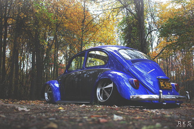 12899061354_2dc0555545_z.jpg, 278.4 kb, 640 x 427