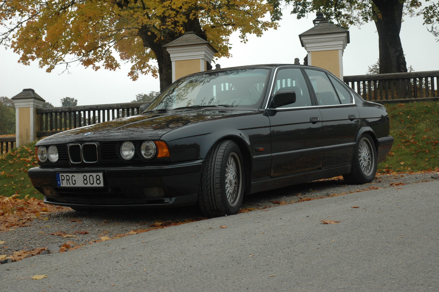 DSC_0965.JPG, 403.58 kb, 1504 x 1000