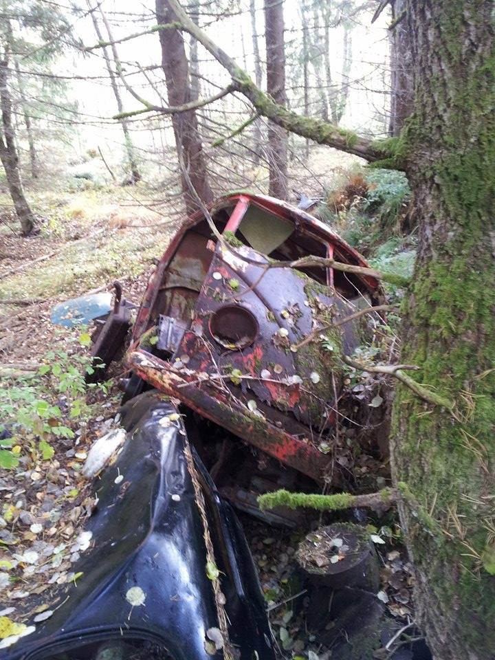 5.jpg, 147.54 kb, 720 x 960