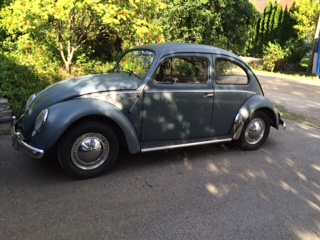 IMG_0285.JPG, 46.95 kb, 320 x 240