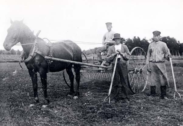 Balansräfsa.jpg, 59.31 kb, 602 x 416