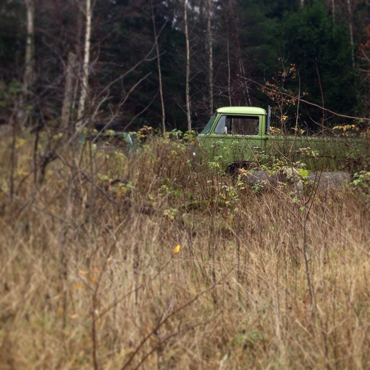 image.jpg, 422.46 kb, 1577 x 1577