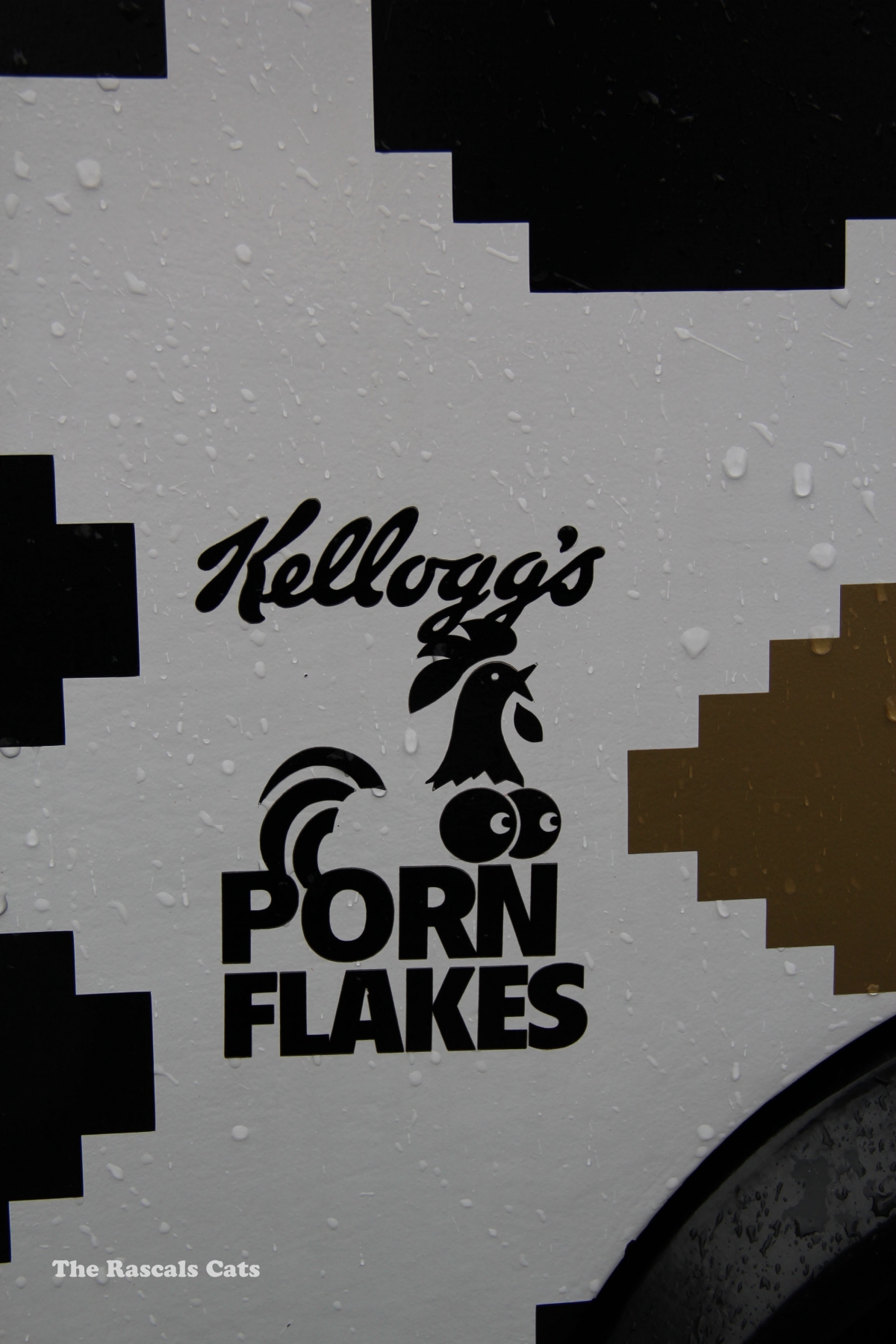 3470000703.jpg, 856.6 kb, 1200 x 1800