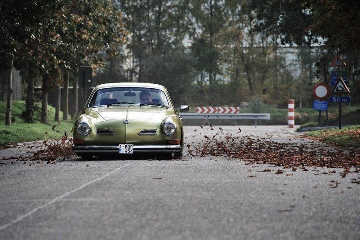 Foto.JPG, 128.13 kb, 720 x 481