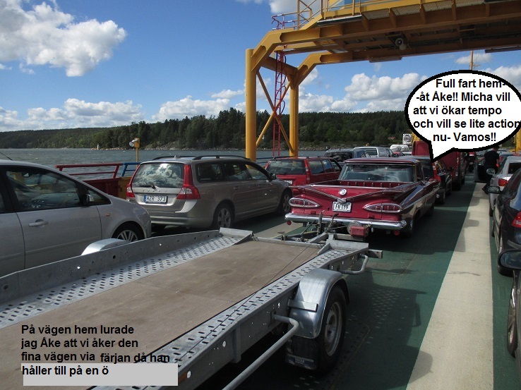 Boxerbild.jpg, 182.23 kb, 738 x 553