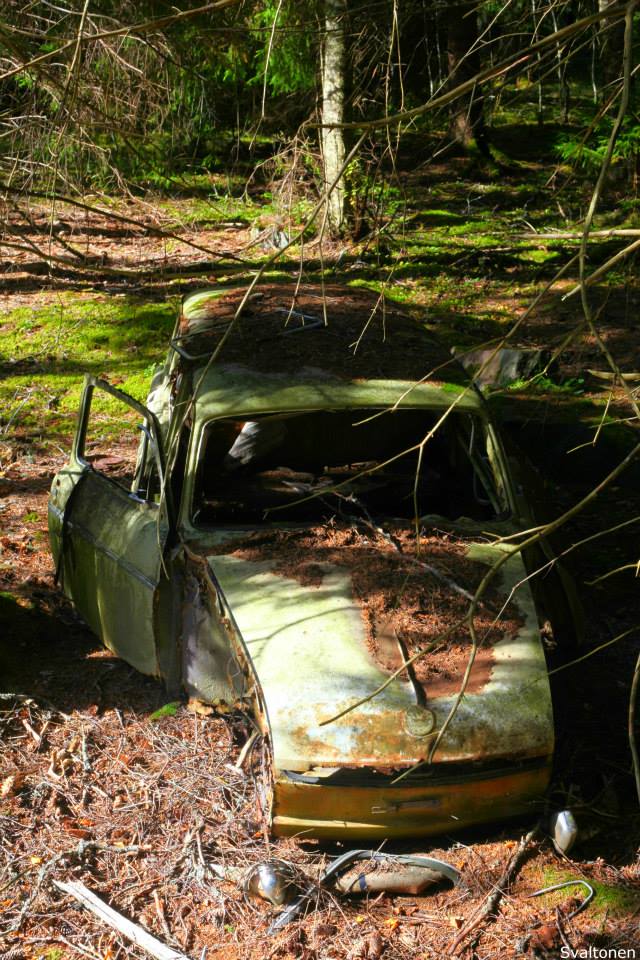 555078_542398049163674_560501076_n.jpg, 135.32 kb, 640 x 960