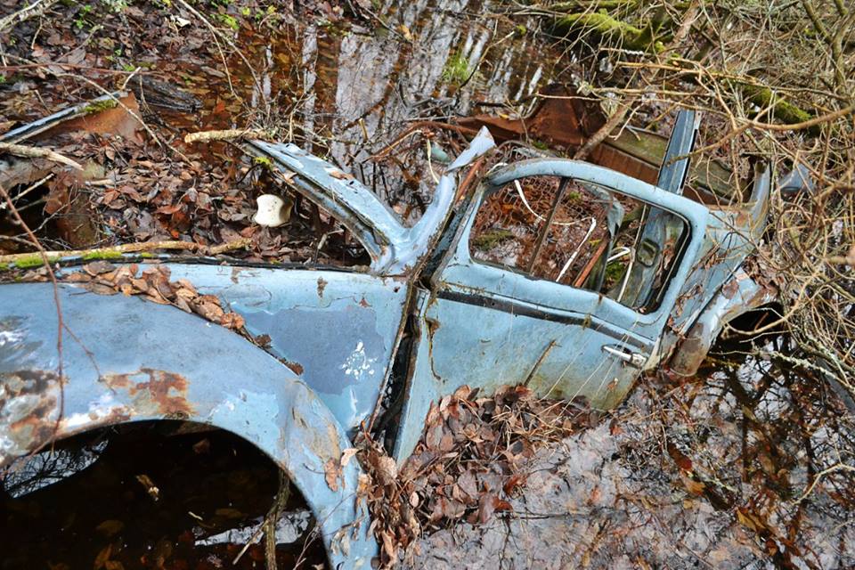 12366388_824992974275928_8438484688181292457_n.jpg, 156.85 kb, 960 x 640