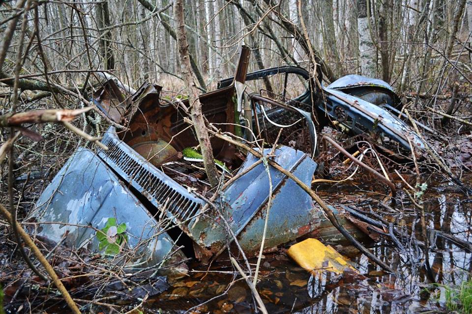 12316451_824993294275896_4317516020393968801_n.jpg, 166.05 kb, 960 x 640