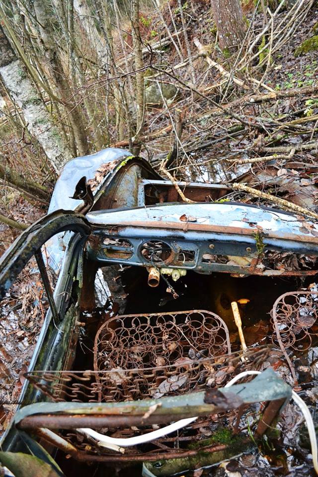 12311164_824993340942558_748193150103187667_n.jpg, 162.49 kb, 640 x 960