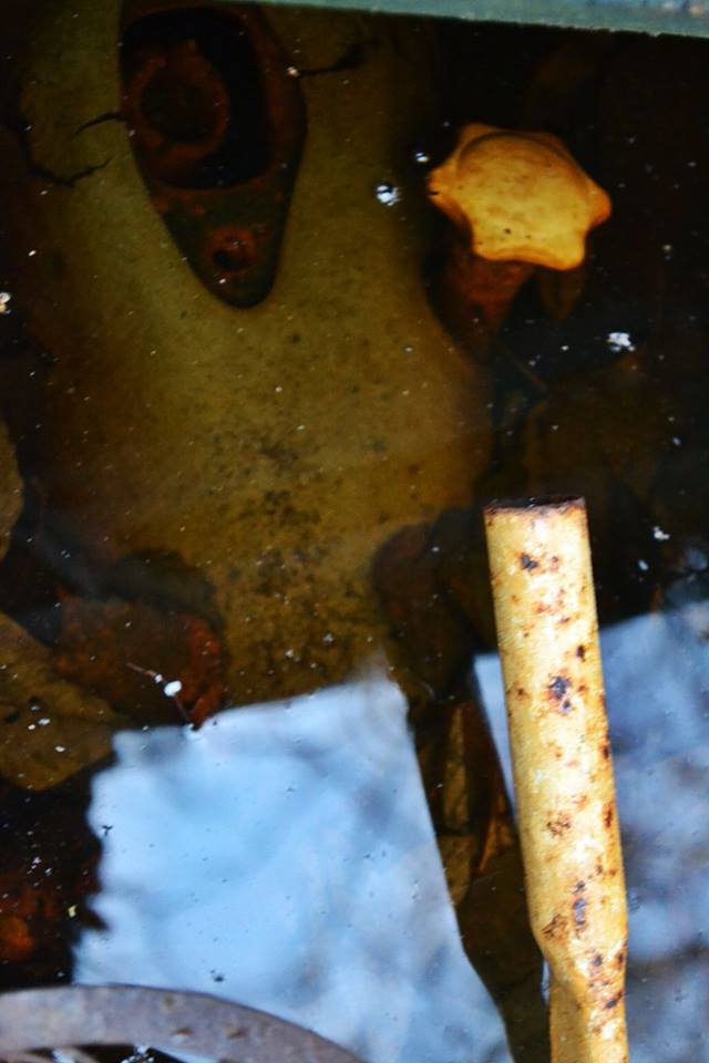 12310508_824993037609255_7206295151207457893_n.jpg, 52.93 kb, 640 x 960