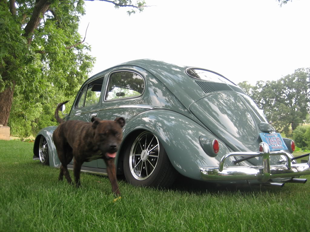 8-1.jpg, 196.14 kb, 1024 x 768