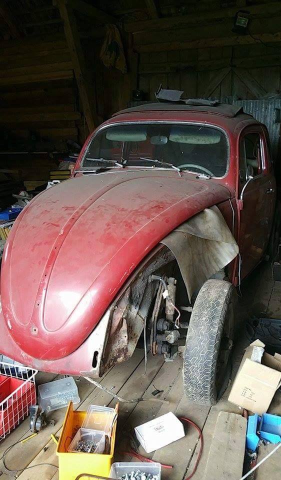 12081464_10206707695743321_1498340554_n.jpg, 82.26 kb, 562 x 960