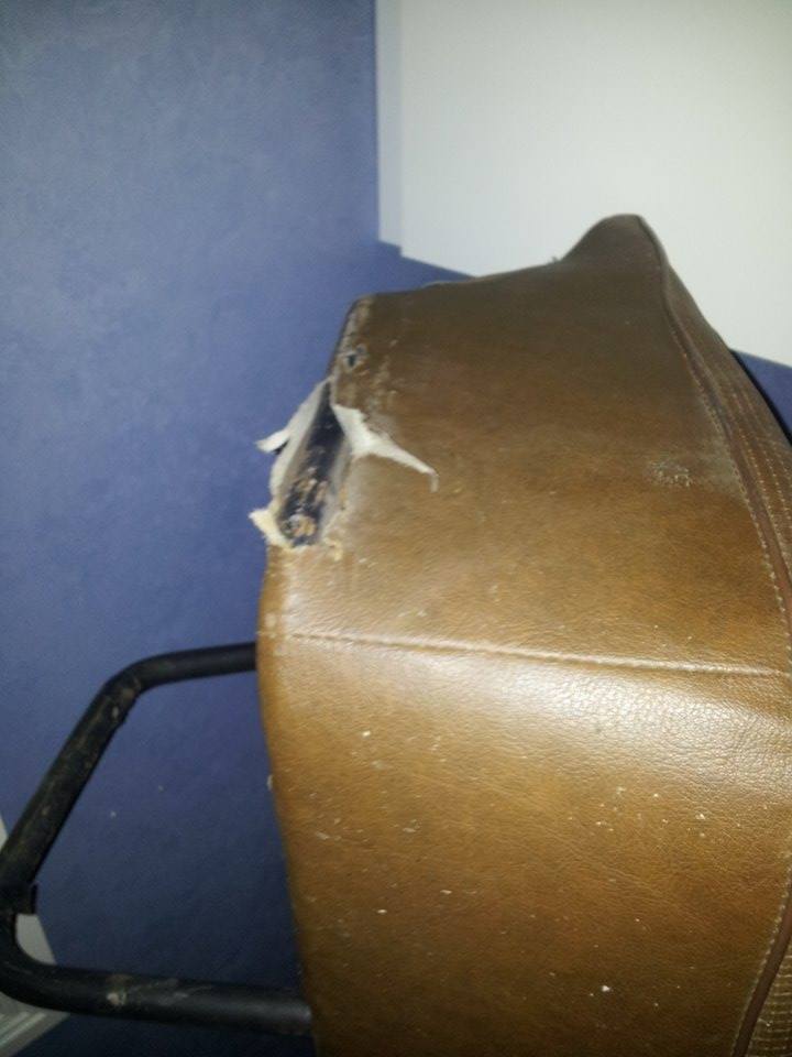 12540342_935891196463917_1926762638_n.jpg, 53.72 kb, 720 x 960