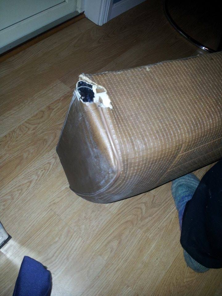 12511556_935891189797251_688301366_n.jpg, 81.98 kb, 720 x 960