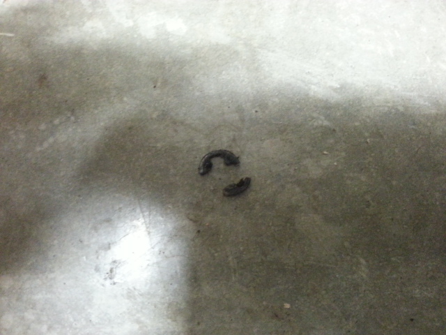 1453230921790812736021.jpg, 126.93 kb, 640 x 480